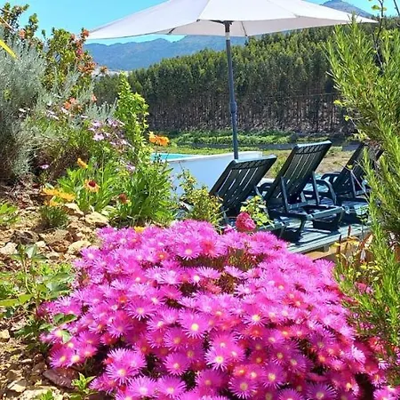 Apartment Cerdeirinhas De Basto 