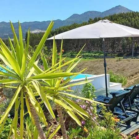 Cerdeirinhas De Basto 