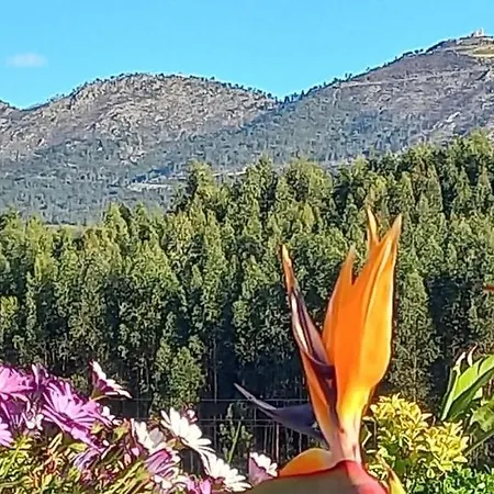 Apartment Cerdeirinhas De Basto 