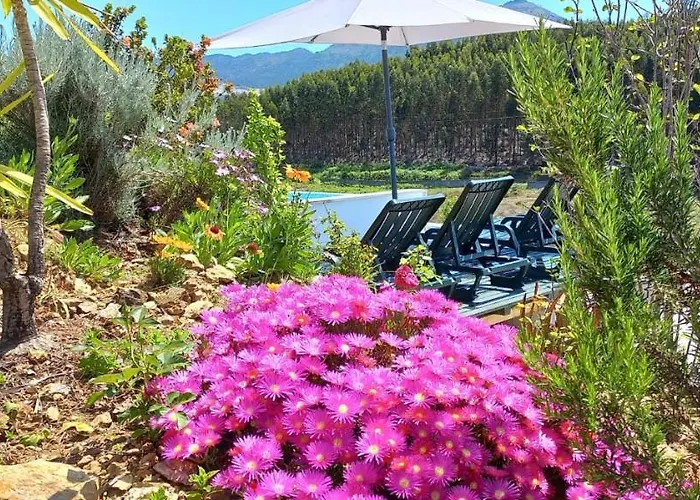 Apartment Cerdeirinhas De Basto 