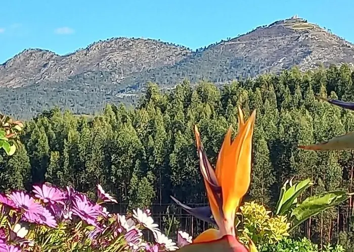 Apartment Cerdeirinhas De Basto 