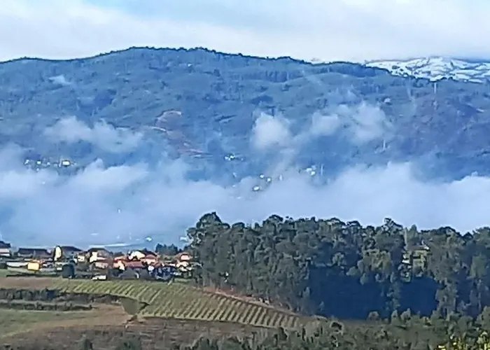 Apartment Cerdeirinhas De Basto 